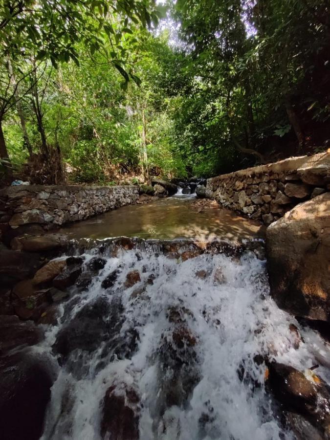 Forest And River Edge Resort Kannur Luaran gambar
