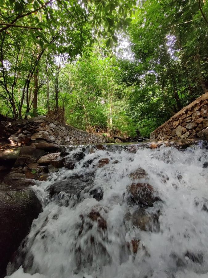 Forest And River Edge Resort Kannur Luaran gambar