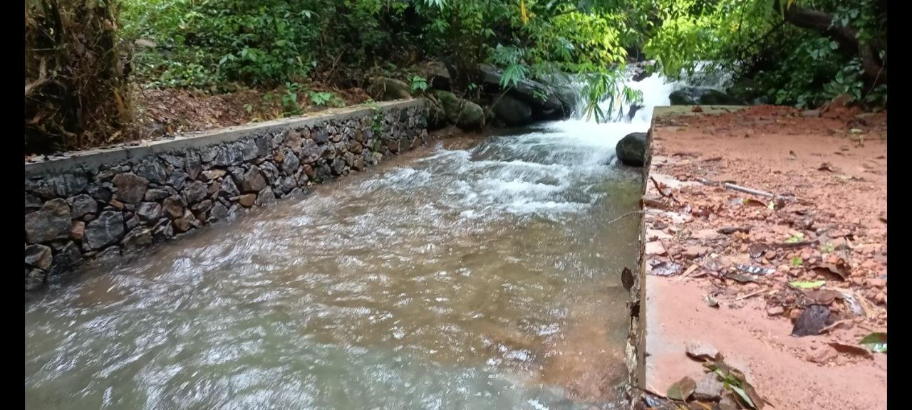 Forest And River Edge Resort Kannur Luaran gambar