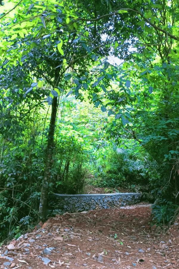 Forest And River Edge Resort Kannur Luaran gambar