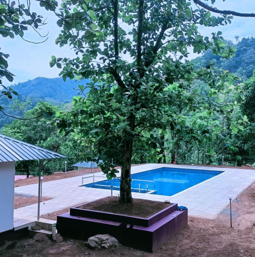 Forest And River Edge Resort Kannur Luaran gambar